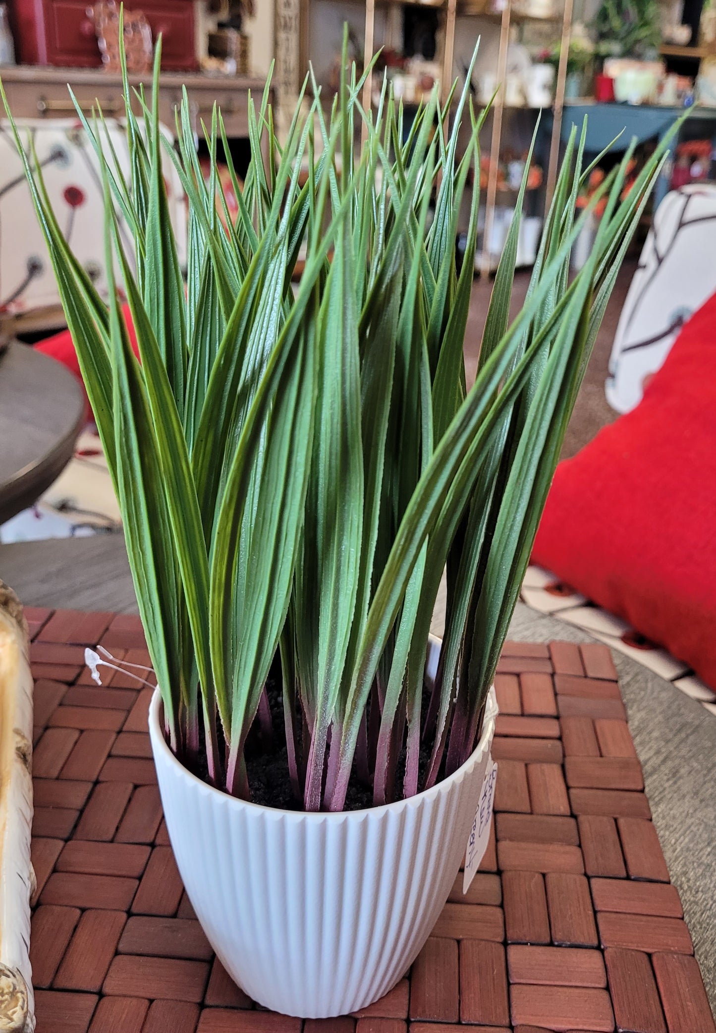 Greenery plant