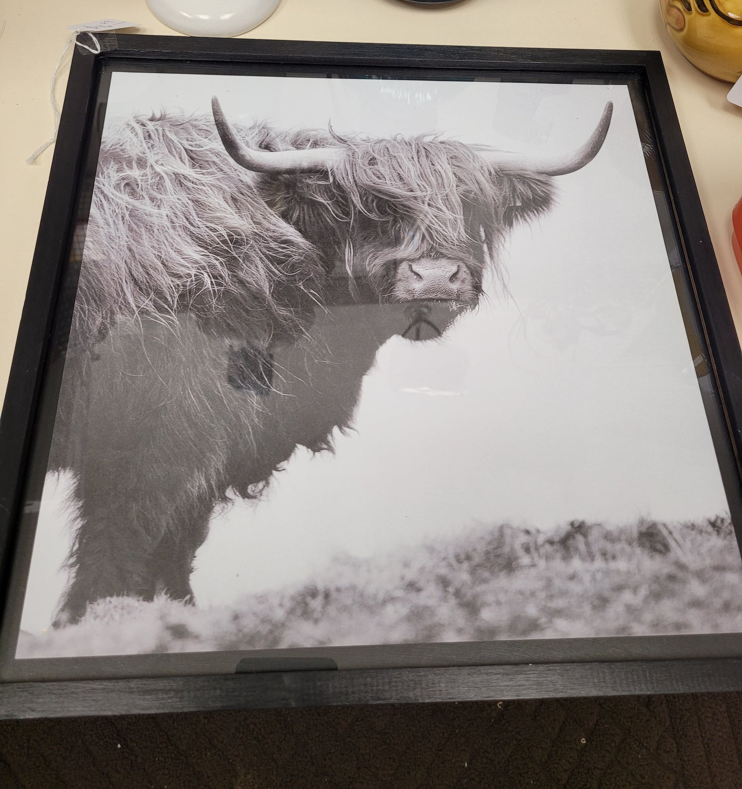Shaggy cow 2