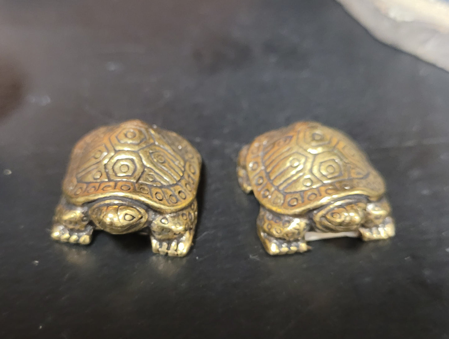 Lil brass turtle