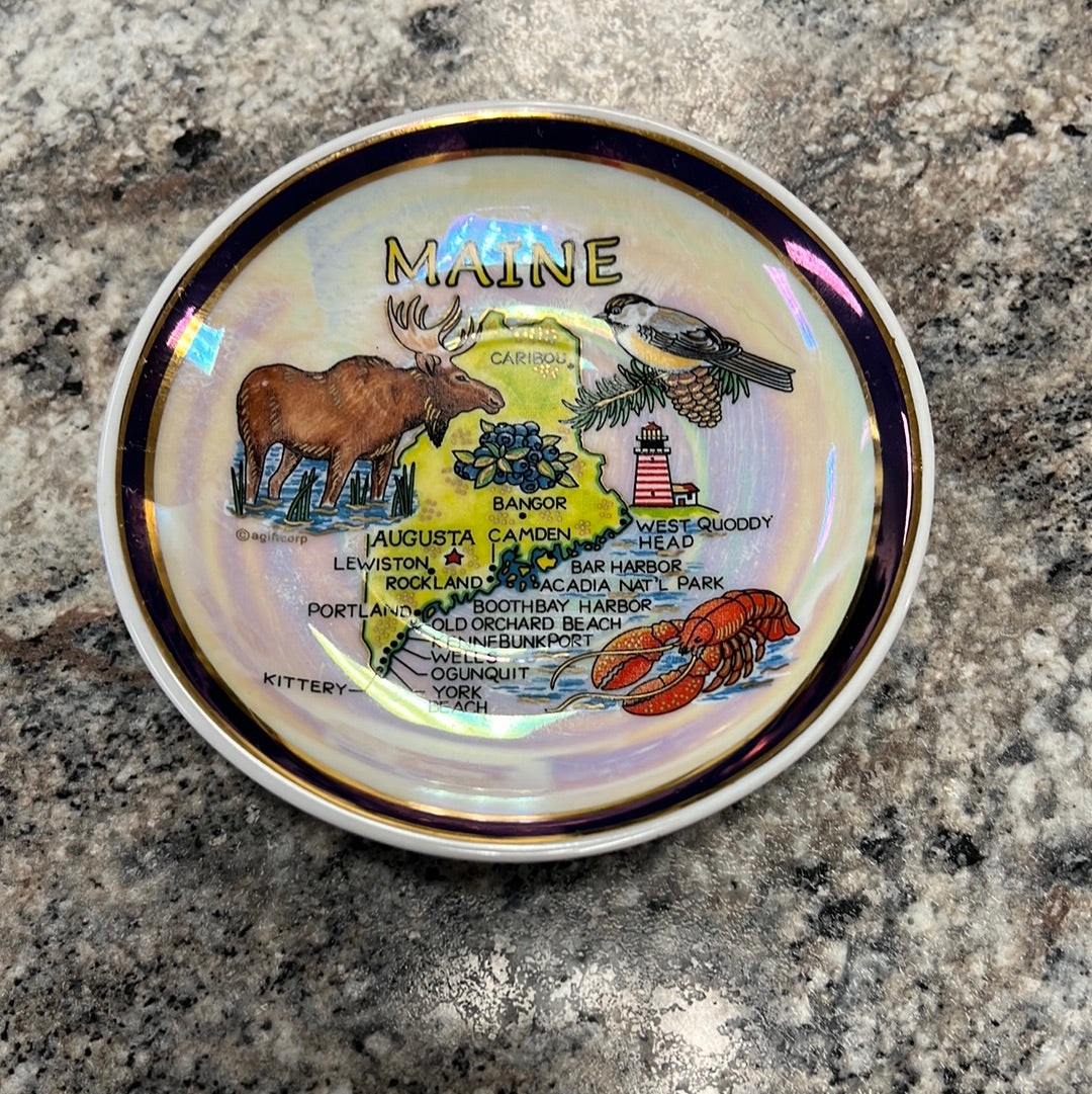 Maine Souvenir Mug