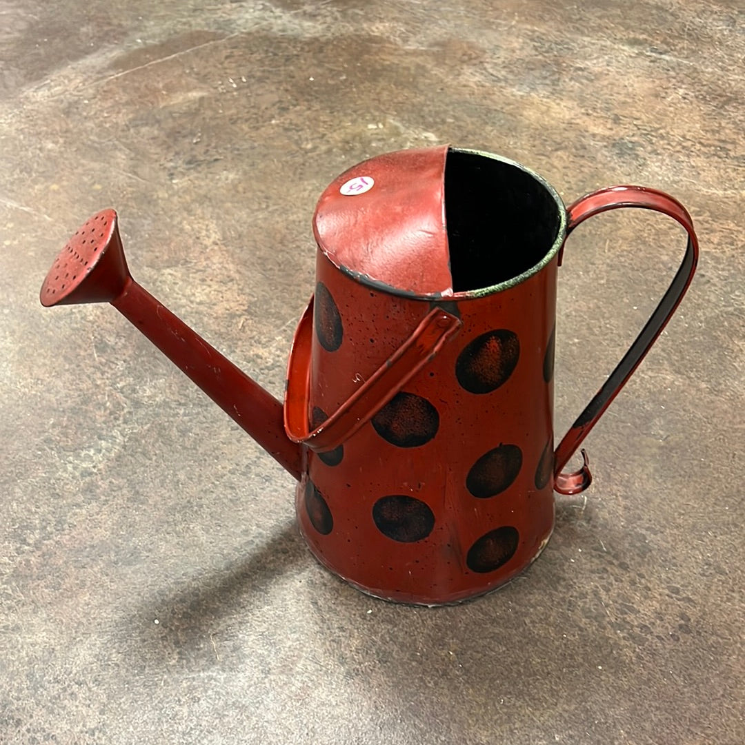 Metal Watering Can