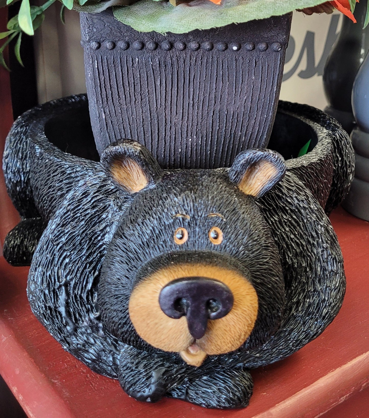 Lil black bear dish