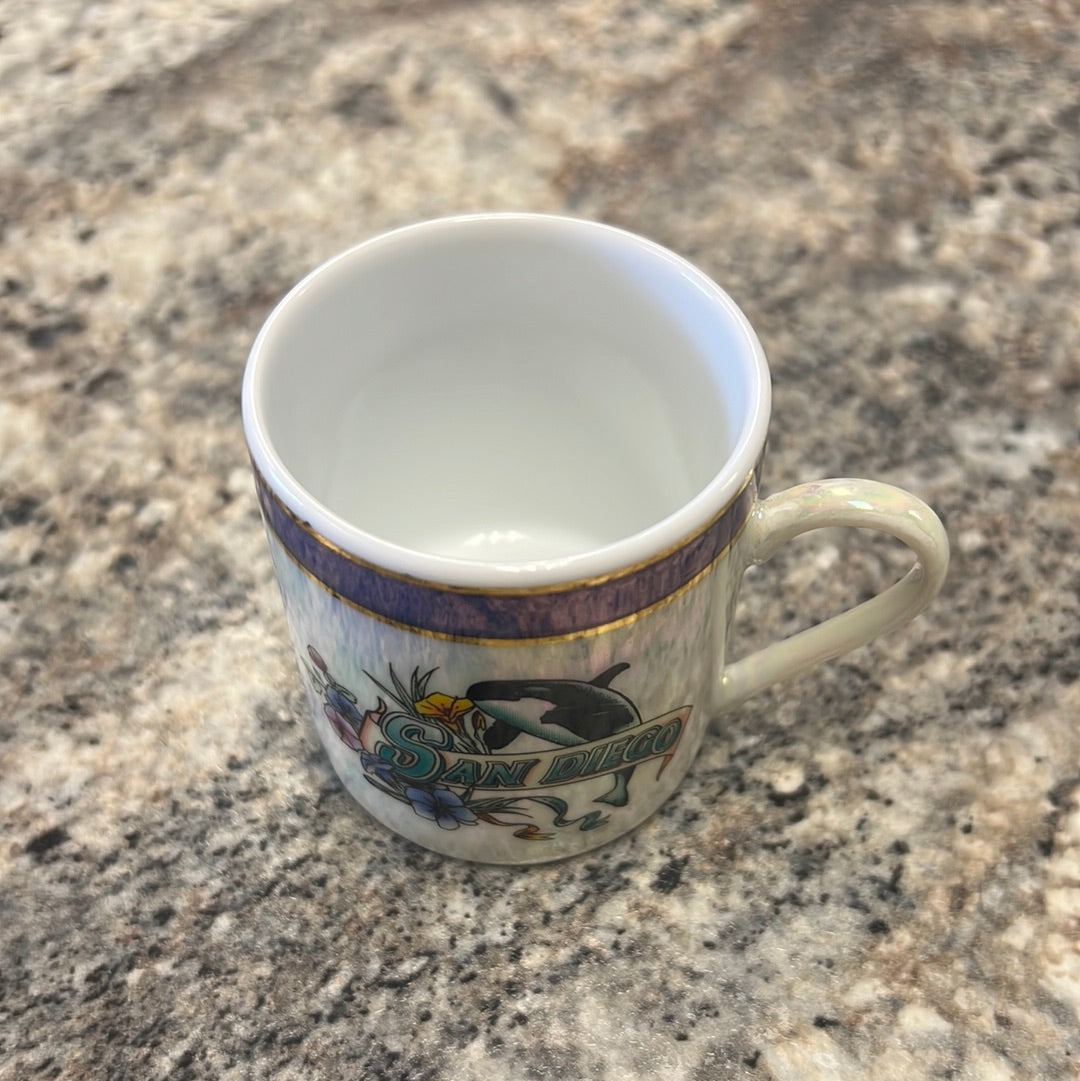 San Diego Souvenir Cup