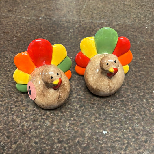 Turkey Salt Shaker Set