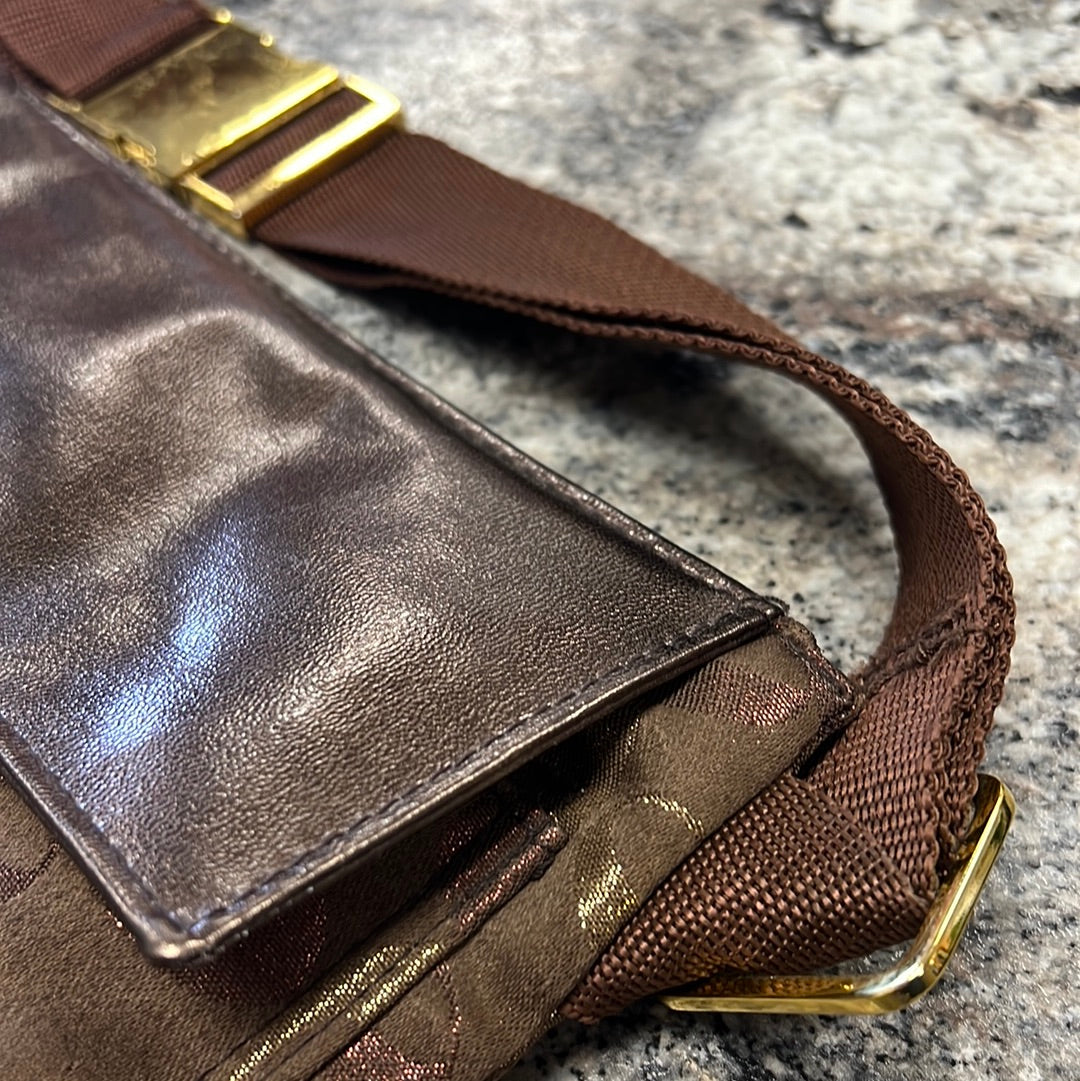 Brown Fanny Pak