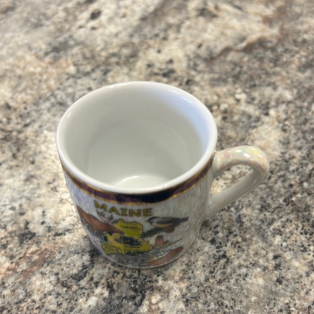 Maine Souvenir Mug